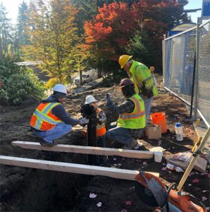 sewer repair services in Kirkland, WA