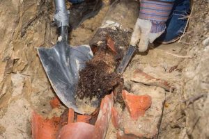 Collapsed Sewer Lines: Why They Happen