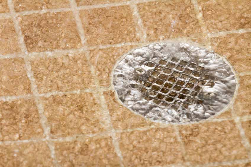 How Clogs Can Affect More Than Just Your Drains