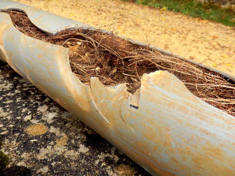 damaged sewer pipes