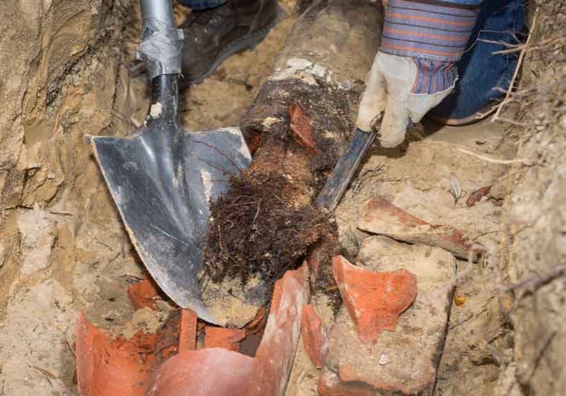 Collapsed Sewer Lines: Why They Happen