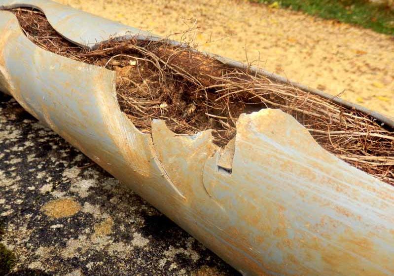 damaged sewer pipes